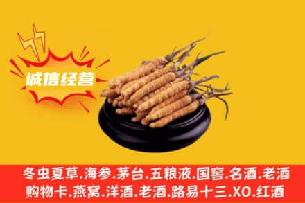 内江回收冬虫夏草